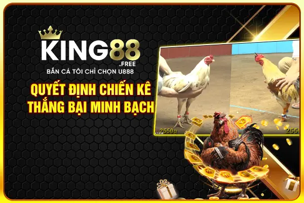 Quyết định chiến kê thắng bại minh bạch Quyết định chiến kê thắng bại minh bạch