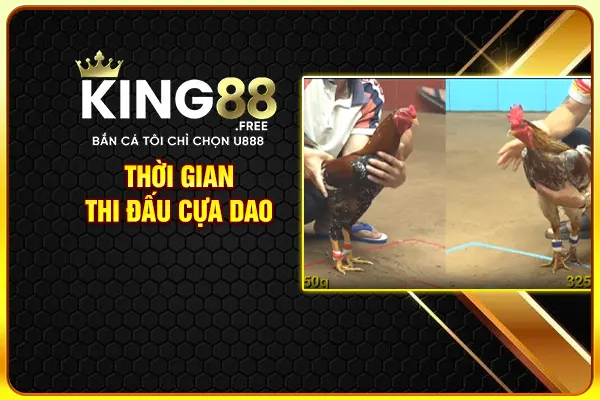 Thời gian thi đấu cựa dao