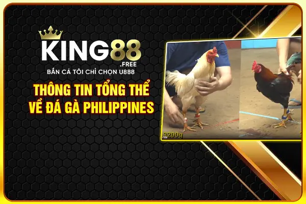 Thông tin tổng thể về đá gà Philippines Thông tin tổng thể về đá gà Philippines